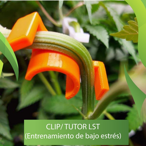 Tutor/clip Lst (entrenamiento De Bajo Estrés) 16 Unidades