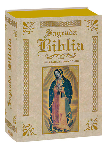 Sagrada Biblia Ilustrada A Todo Color