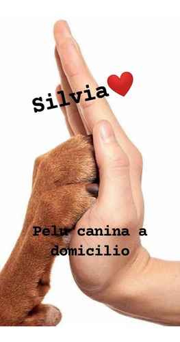 Imagen 2 de 8 de Peluquera Canina A Domicilio También Espacio Propio.caba