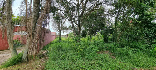 Imagem 4 de 4 de Terreno No Cibratel 2, Medindo 420 M², Em Itanhaém Ter158