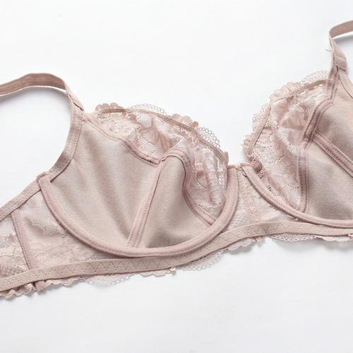 Brasier Copa Completa Con Aros Talla Grande Encaje Delimira