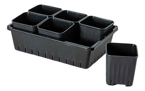 Maceta Para Trasplante De Plántulas, Caja De 6 Rejillas