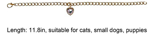 Collar Gato Sogayu Con Corazón Rhinestone, Ajustable Y