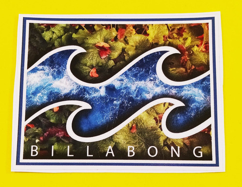 21 Calcomanías 10cm Vans Santa Cruz Rip Curl Billabong Skate