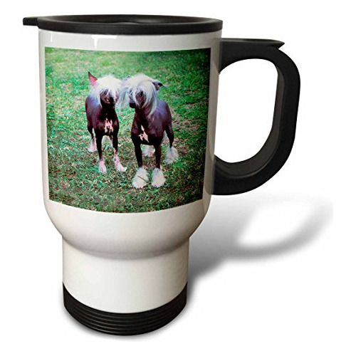 Taza De Viaje 3drose Chow Chow, 14 Onzas, Acero Inoxidable