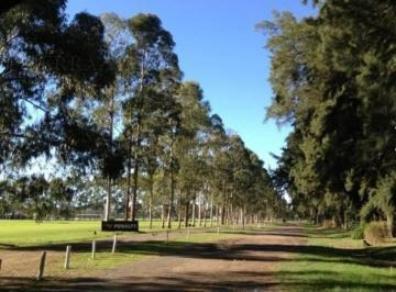 Imagen 1 de 2 de Lote Venta Santo Tomas 458.00 M²- Pilar