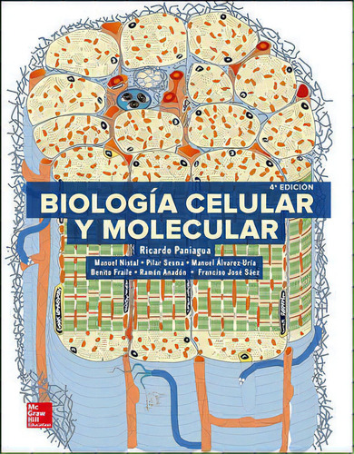 Biologia Celular Y Molecular, De Paniagua,ricardo. Editorial Mcgraw-hill Interamericana De España S.l., Tapa Blanda En Español