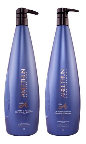 Kit Aneethun Shampoo 1 L  E Creme Silicone Linha A 1 Litro