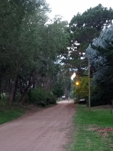Imagen 22 de 24 de Cabaña En El Bosque Costa Del Este,2 Pers! Vacac.invierno