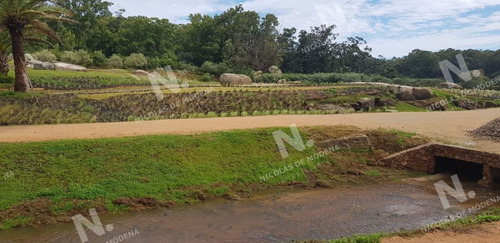 Imagen 9 de 14 de Chacras De Jose Ignacio - Jose Ignacio Pinar Del Faro