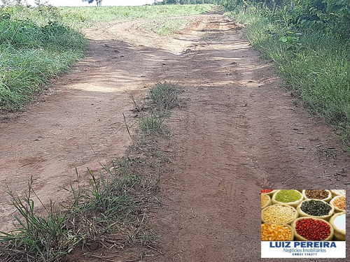 Imagem 10 de 15 de Fazenda À Venda No Vale Do Araguaia / Divinópolis - To - (dupla Aptidão) - 1705
