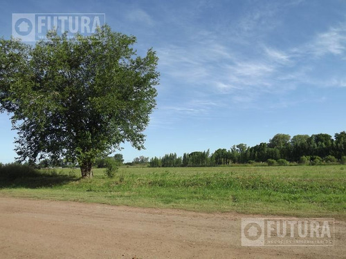 Imagen 19 de 22 de Barrio Campo Madero - Ibarlucea - Terreno En Venta