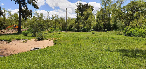 Imagen 2 de 7 de Terreno En Venta Delta Tigre Sobre Paraná De Las Palmas