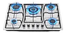 Comprar Parrilla A Gas De 5 Quemadores Acero Inoxidable Gas Lp Empotrable Encendido Por Pulso Blick