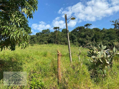 Imagem 9 de 12 de Terreno Para Vender 2000 M²- Nazaré Paulista/sp - Te0062