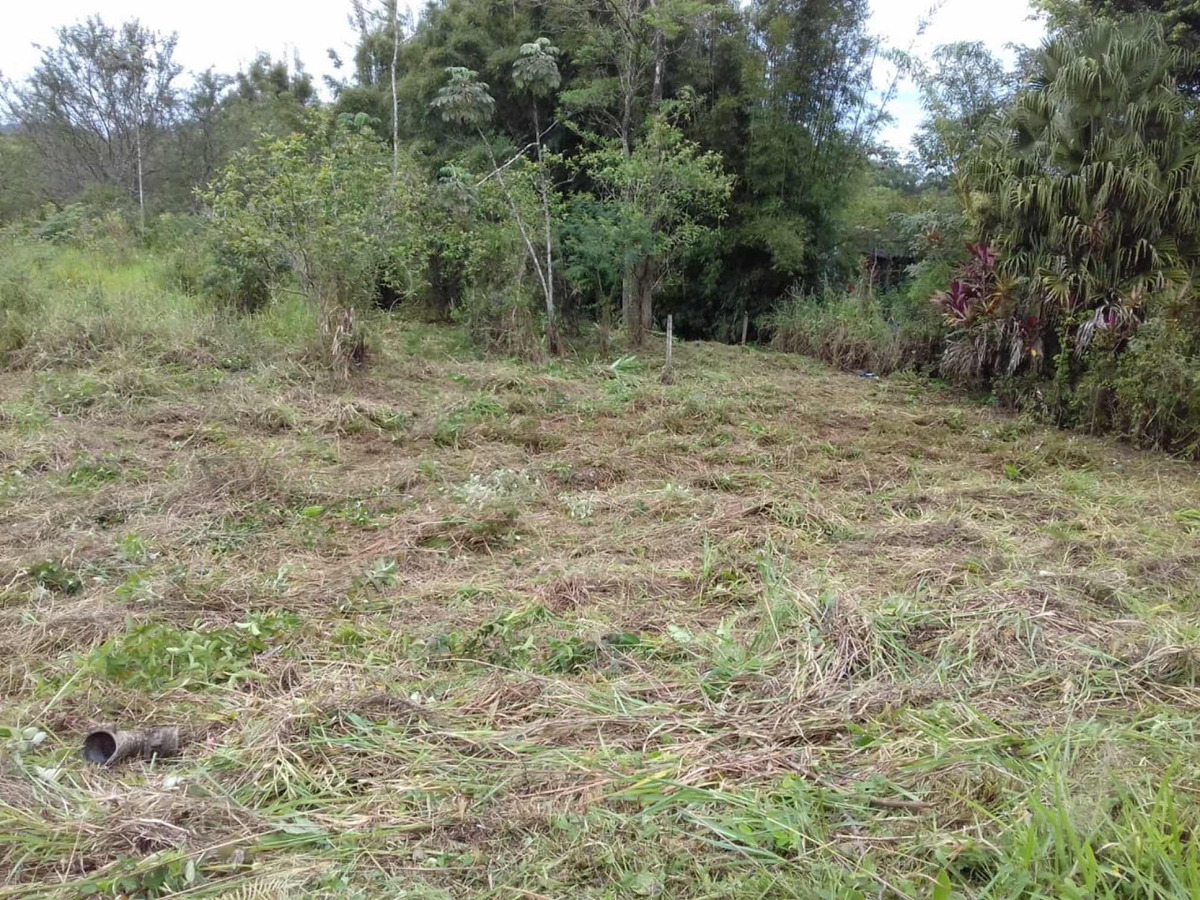 Captação de Terreno a venda no bairro Iguape, Iguape, SP