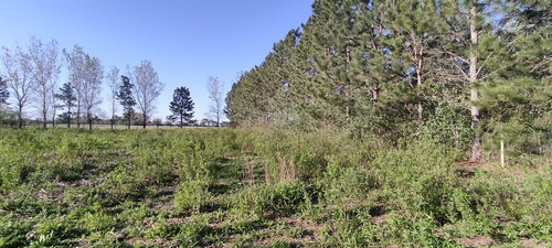 Veta O Permuta Lote De 5.000mts2, Barrio Cerrado En Roldan