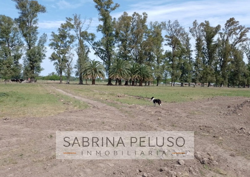 Venta Lote/terreno Plomer