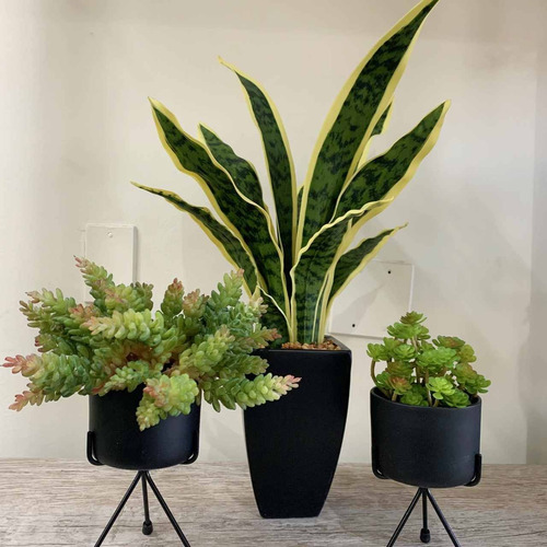 1 planta Artificial Decorativa Para Sala no Vaso Preto 55 Cm | Parcelamento  sem juros