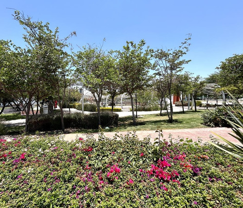 Zibata Queretaro, Precioso Lote En Venta De 309.25 M2. Condominio Cardon