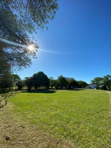 Imagen 6 de 29 de Extensa Casa Quinta Sobre El Rio Paraná