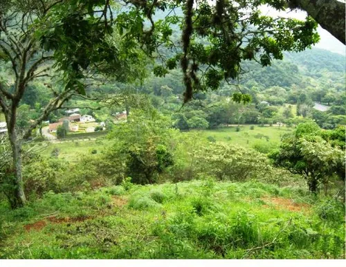 Lote Buitrera Palmira