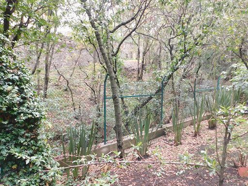 Terreno En Venta, Condado De Sayavedra Cod. Vte548