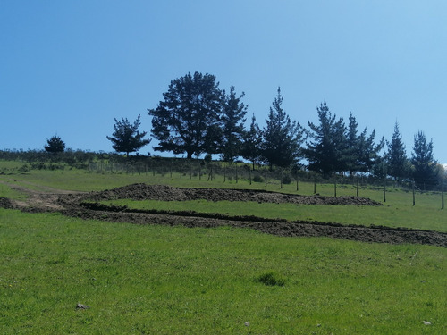 Parcela Hacienda Bucalemu, Paredones