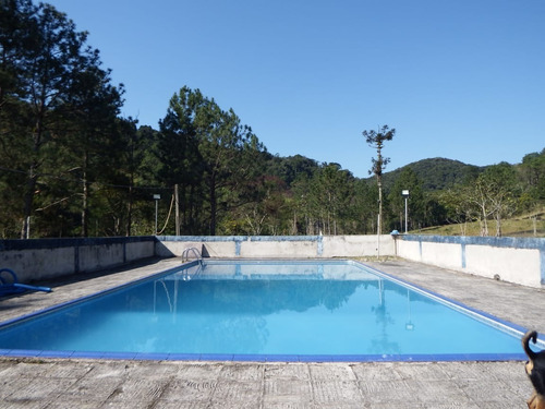 Imagem 13 de 16 de Sítio À Venda Com Pasto Lago Piscina 56.000 Ótima Localização