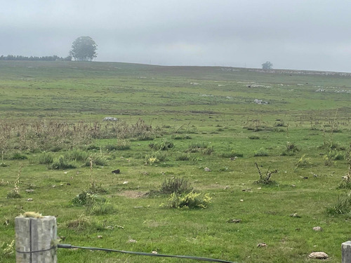Imagen 15 de 21 de 270 Hectareas Ganaderas A 28 Km De Minas 3300 Dólares La Hec