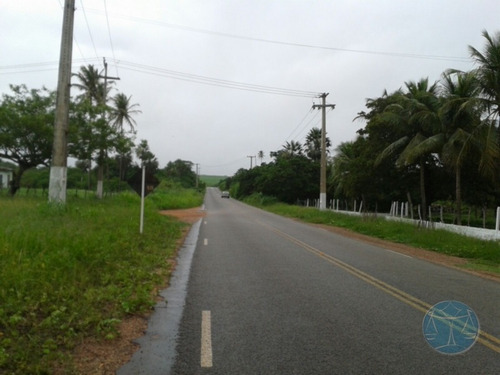 Imagem 3 de 15 de Fazenda Com Rio Maxaranguape Dentro - V-8846