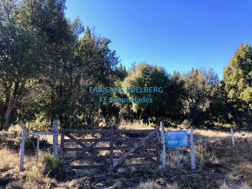 Imagen 3 de 23 de Terreno - Meliquina