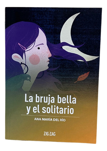 La Bruja Bella Y El Solitario / Ana Maria Del Río
