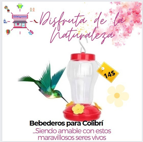 Bebedero De Colibrí 