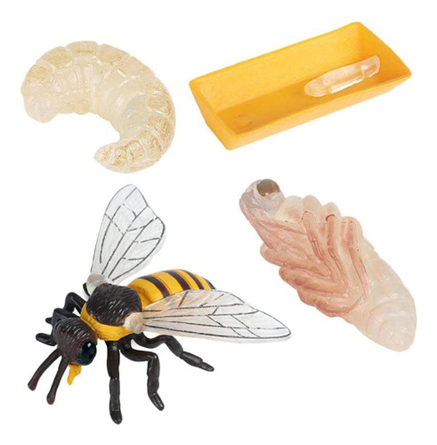 Paquete De 4 Figuras De Insectos Realistas Life Cycle Of Hon