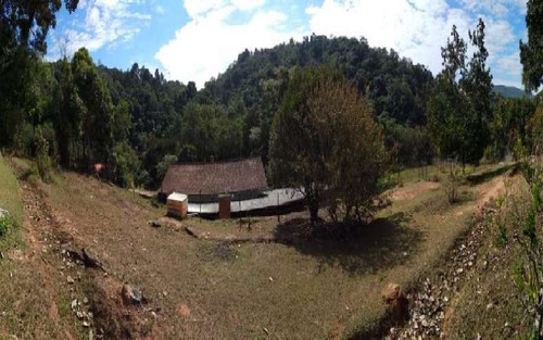 Imagem 6 de 15 de Chacara Jundiazinho 395 M² - 16554