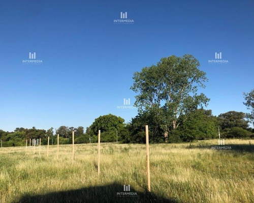 Imagen 7 de 8 de Terreno Lote En Venta Ubicado En Loma Verde, Escobar, G.b.a. Zona Norte