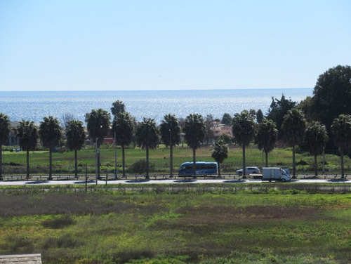 Excelente Sitio Con Ubicación Privilegiada En Peñuelas