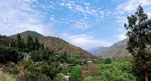 El Arrayan