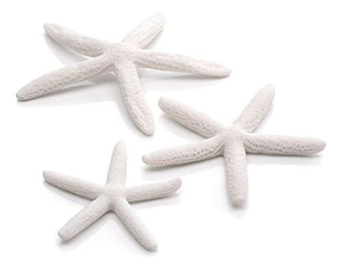 Biorb 461340 Starfish Set 3 Color Blanco Acuarios