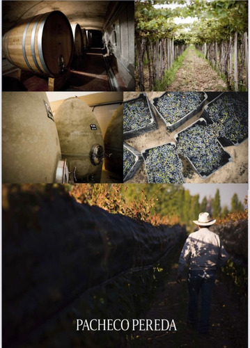 Vinho Pacheco Pereda Estirpe Malbec Varietal - Orgânico