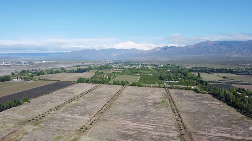 Venta Lotes Barrio Verona Vistalba Lujan De Cuyo