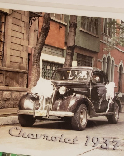 Imagen 5 de 5 de Limusina Y Autos Antiguos Renta