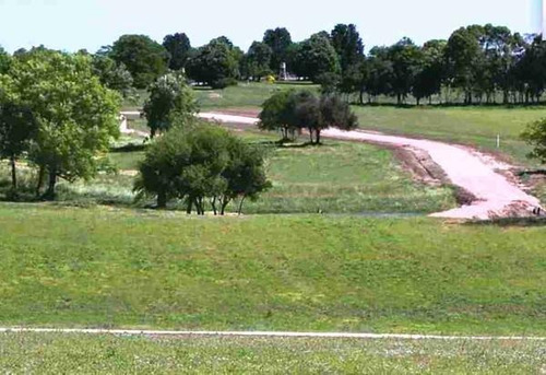 Imagen 5 de 5 de Terreno En Venta Uruguay