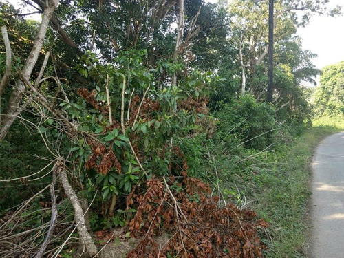 Venta Terreno 5,633 M² Sobre Carretera Juana Moza Tuxpan Veracruz