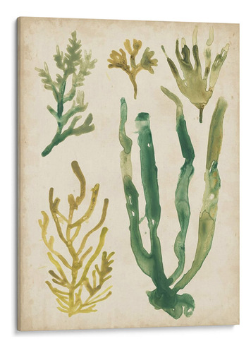 Canvas Lab Cuadro Vintage Fronds Vi 45x60, June Erica Vess