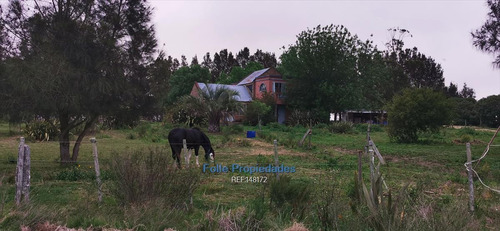 Imagen 6 de 11 de Jose Ignacio Venta Buena Chacra 5 Has Sobre Ruta 9 Cw148172 Cw148172