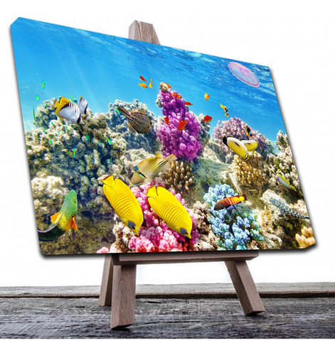 Cuadro Decorativo Canvas Paisaje De Arrecifes Y Peces