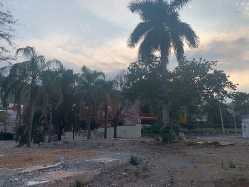 Imagen 3 de 7 de Terreno En Venta Bugambilias