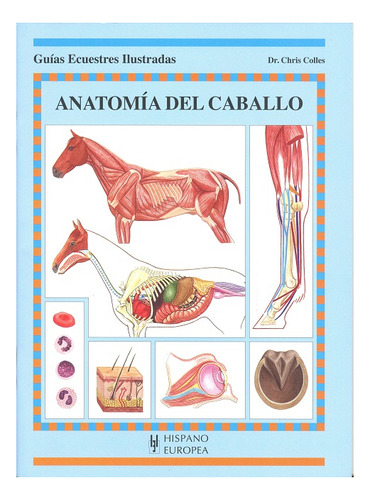 Anatomia Del Caballo